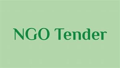 NGO Tender Success: Transformative Strategies Revealed