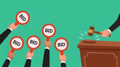 Becoming Proficient in Strategic Bidding for Government Tenders