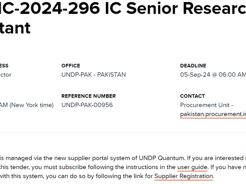 UNDP-IC-2024-296 IC Senior Research Consultant Required