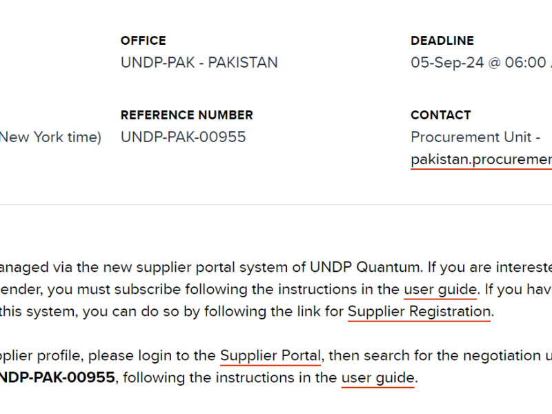 UNDP-IC-2024-295 IC- Senior Consultant - Legals